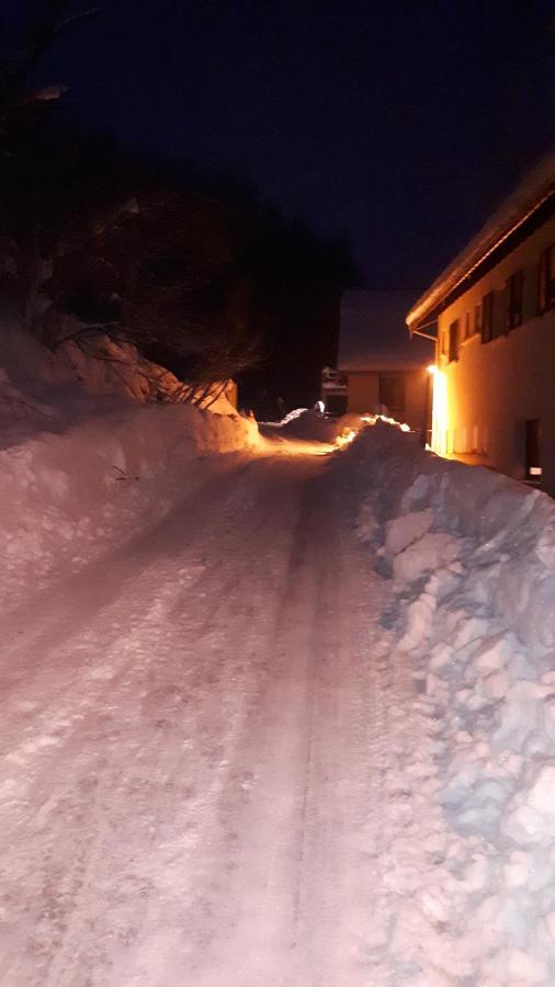 Studio Le Panorama La Bresse Zewnętrze zdjęcie