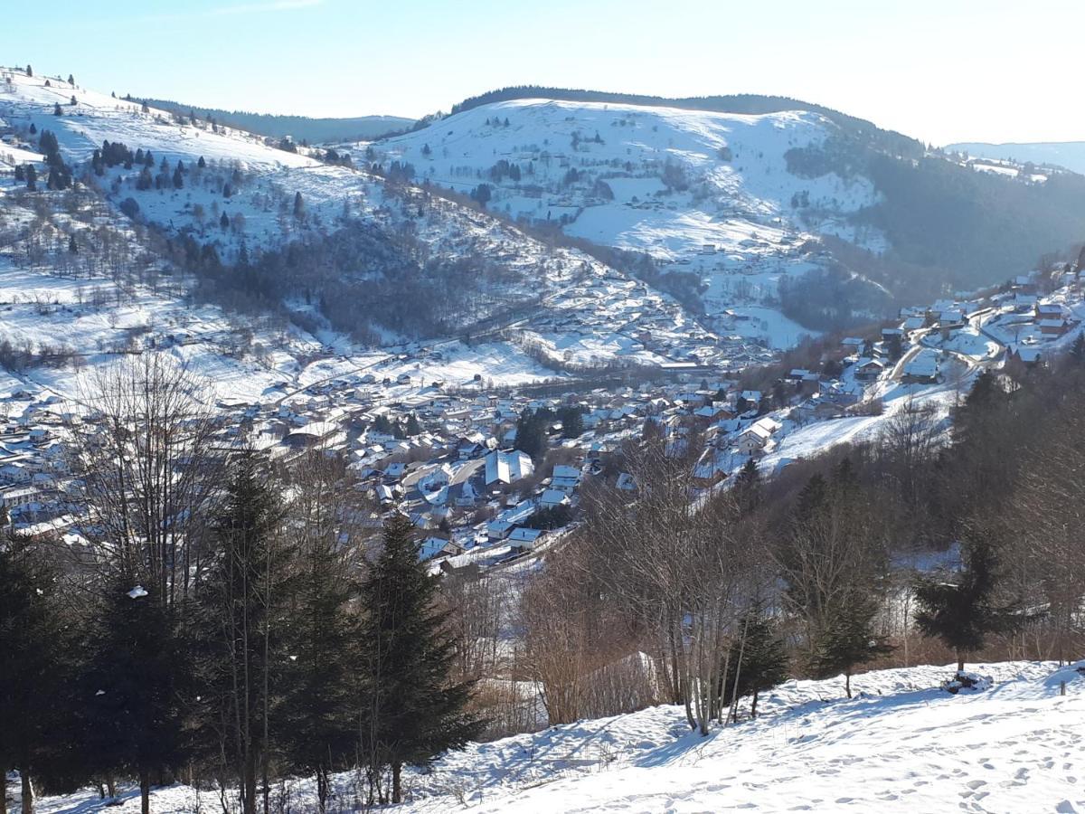 Studio Le Panorama La Bresse Zewnętrze zdjęcie