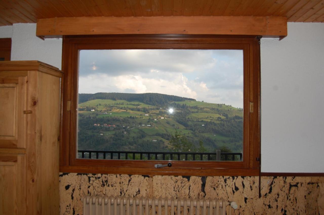 Studio Le Panorama La Bresse Zewnętrze zdjęcie